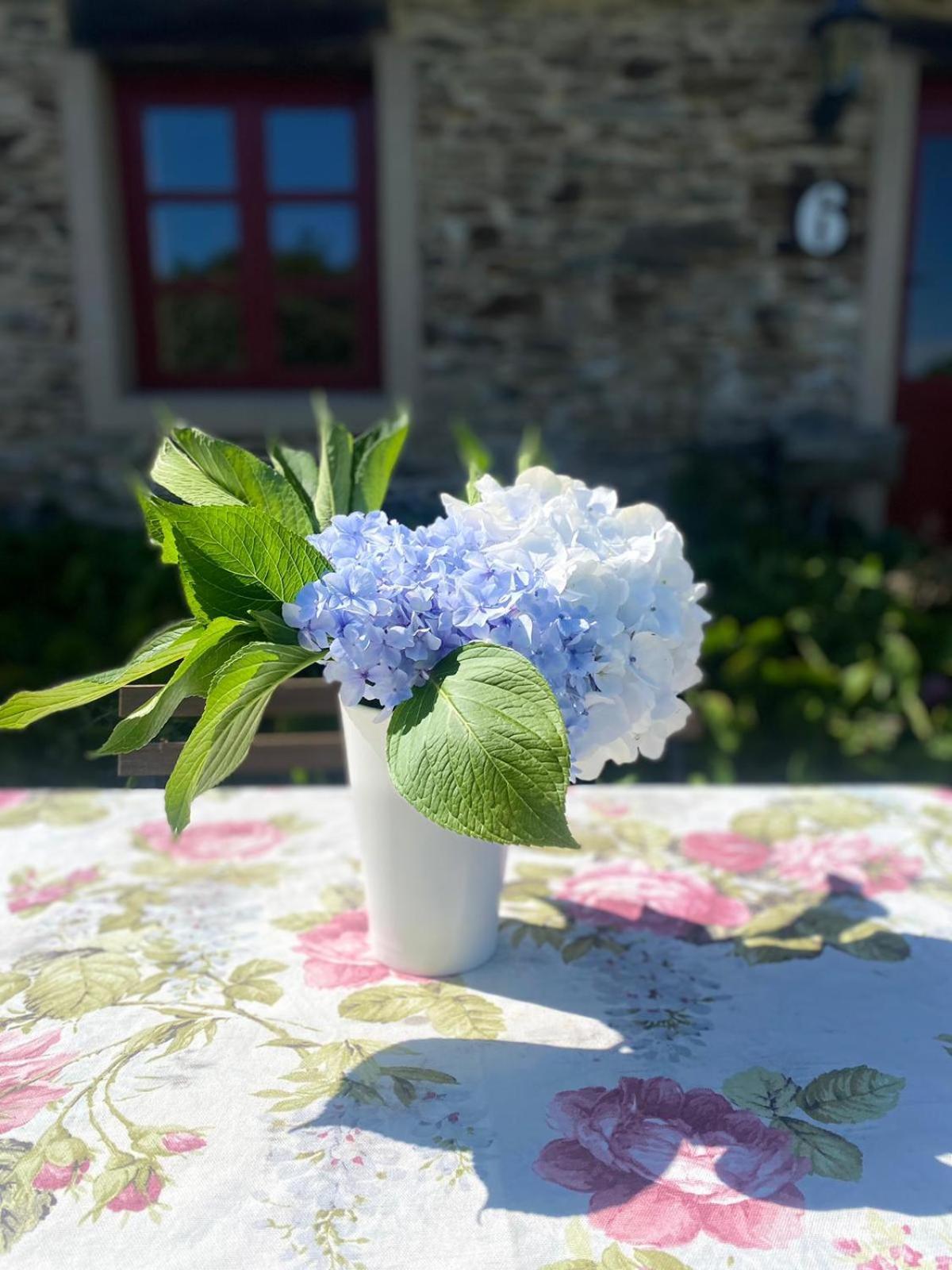 Aldea A Painza Guest House Arzúa Екстериор снимка